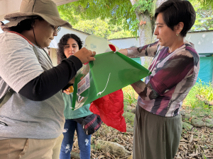 Dispositivo innovador busca reducir riesgos del caracol africano en el Valle del Cauca